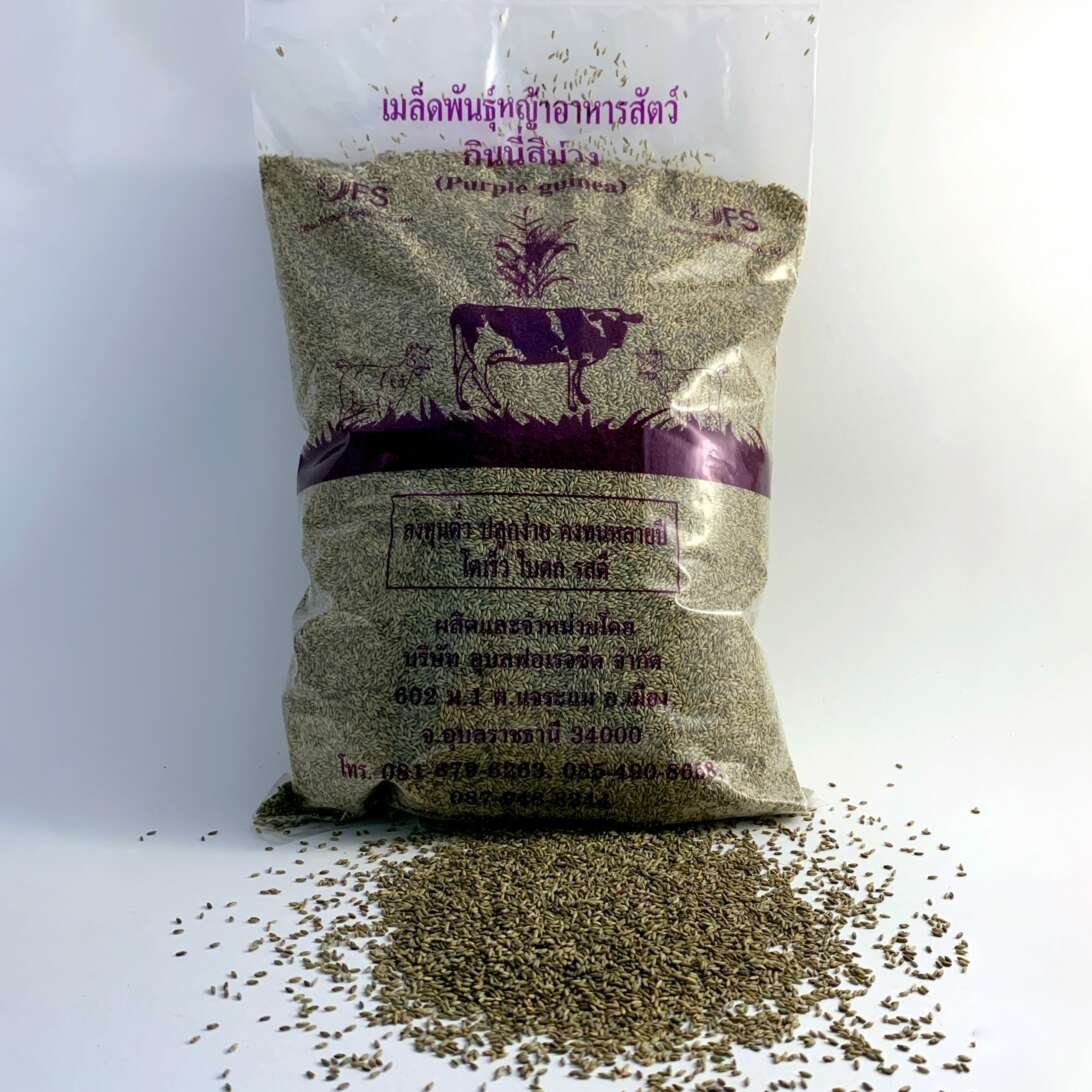 Seeds Ubon Forage Seeds